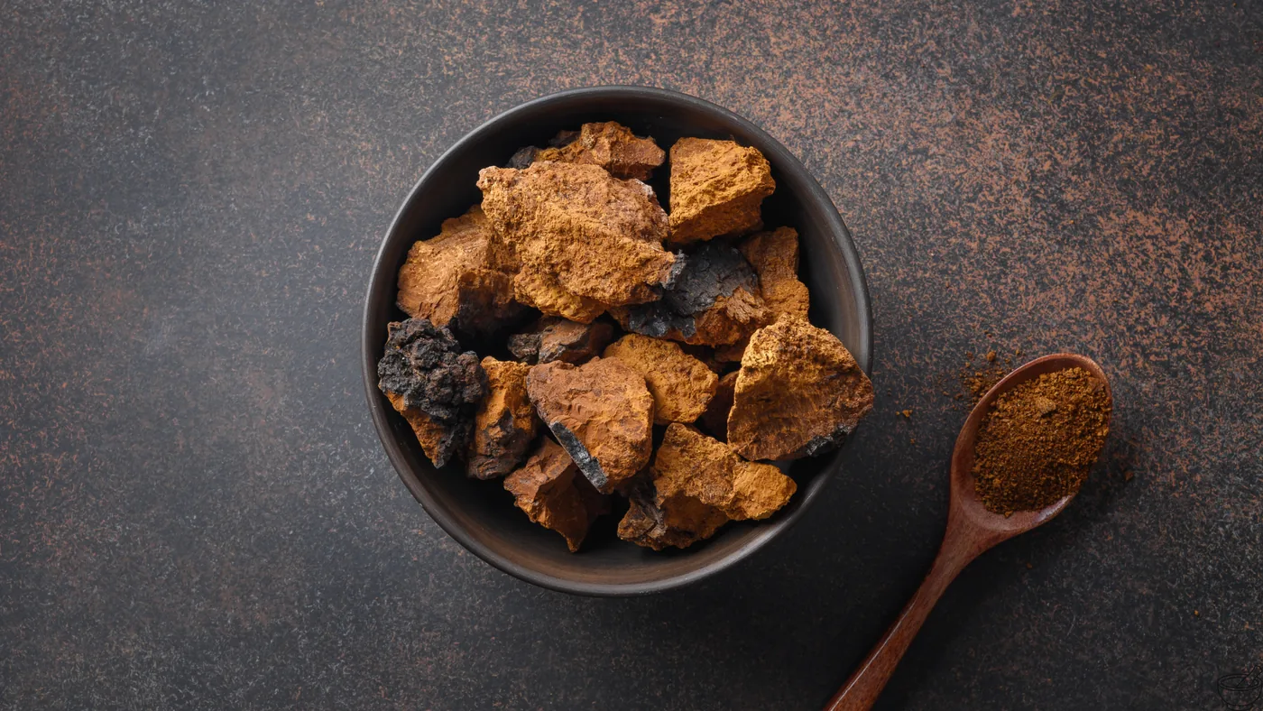 Chaga – echtes Foto
